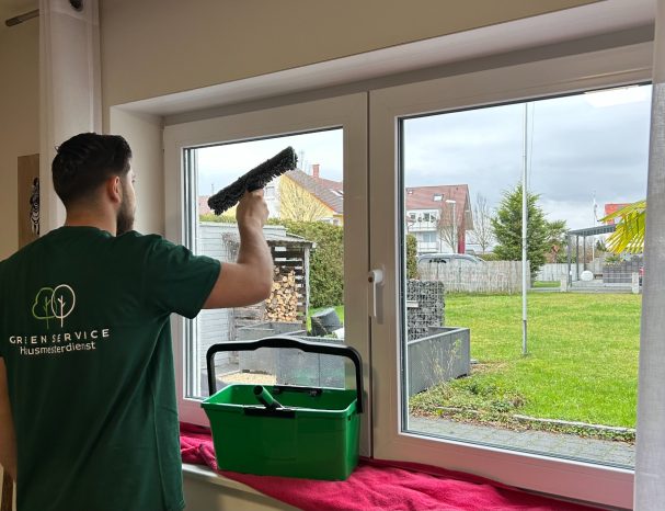 Fenster Reinigung